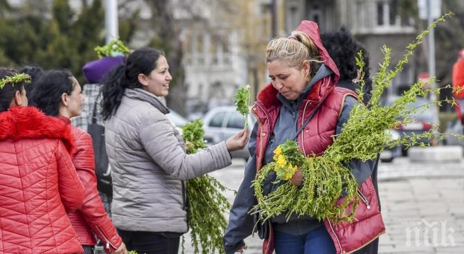 На всеки десен минути пишат акт за върбови клонки на Цветница
