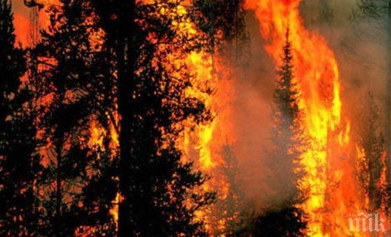 Огнен ад: Над 1 200 горски пожара бушуват в Полша