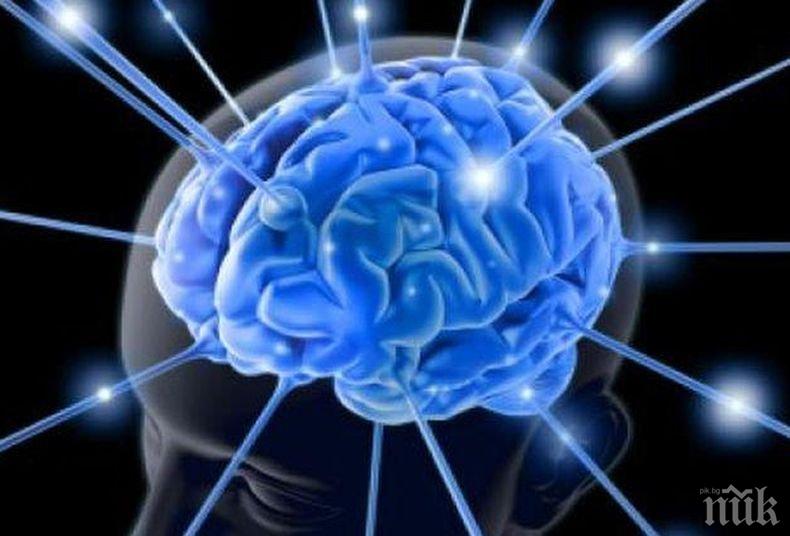 Мозъчен имплант превръща мислите в реч