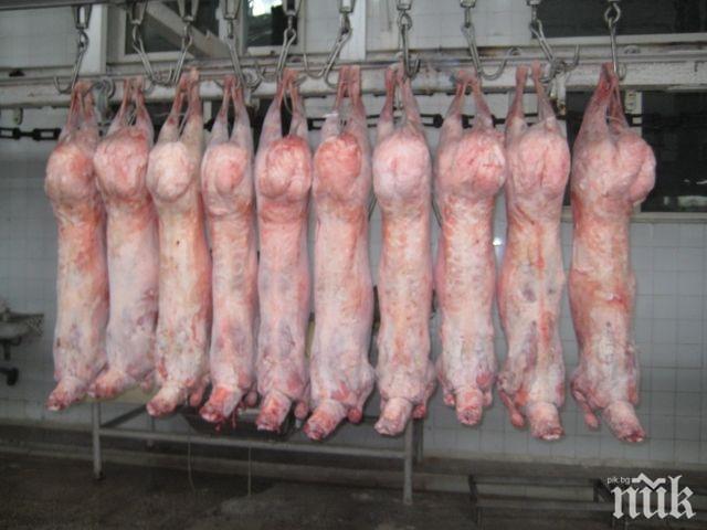 Хранителни агенти проверяват сигнал за 80 тона агнешко месо от Македония 