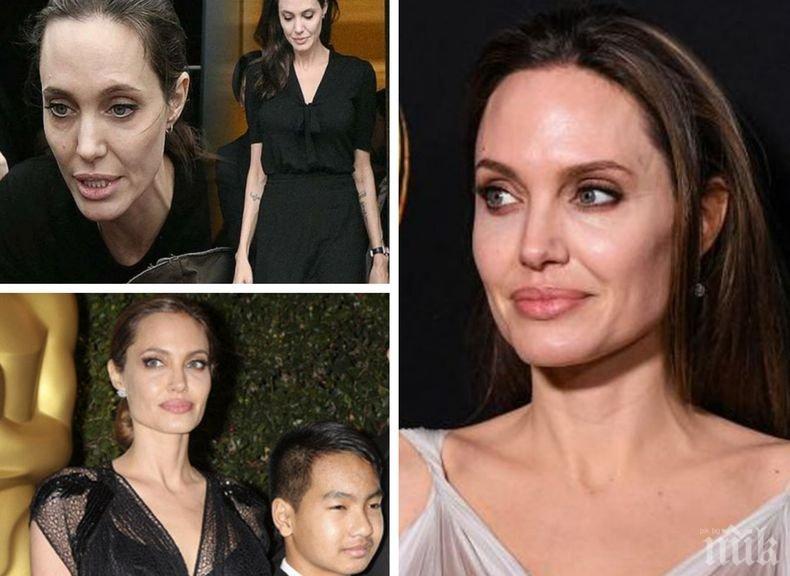 Наследство: Анджелина Джоли написала завещание
