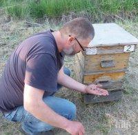 Пчелари готвят блокада на пътя Плевен-София 