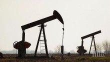 ПРОГНОЗА: Петролът се задържа около $75 за барел