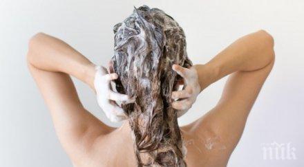 никога сетите пет причини появата пърхот