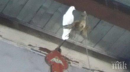 вяра ключ църкви русенско остават затворени възкресение