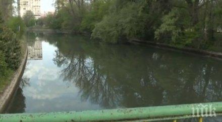 герои момчета ямбол спасиха куче водите тунджа снимка