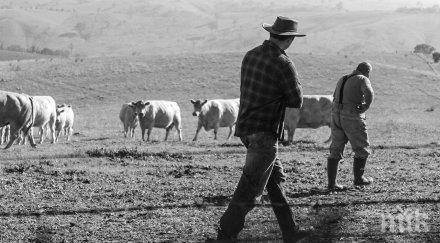 дава нисколихвени кредити млади фермери