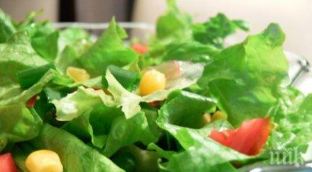 внимавайте ешерихия коли дебне салатите