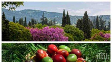 празнична прогноза летни температури великден теремометрите скачат градуса нощта възкресението