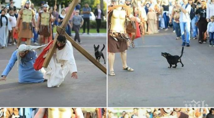 чудо куче нахвърли войник бичуващ исус христос време представление