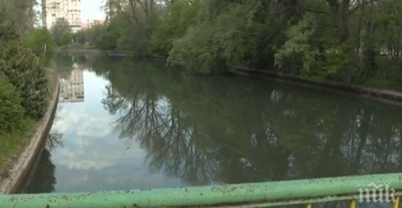 Герои: Момчета от Ямбол спасиха куче от водите на Тунджа (СНИМКА)