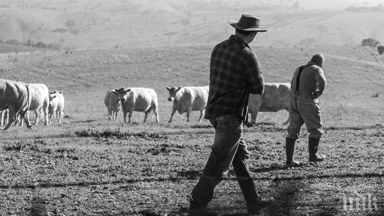 ЕС дава нисколихвени кредити на млади фермери