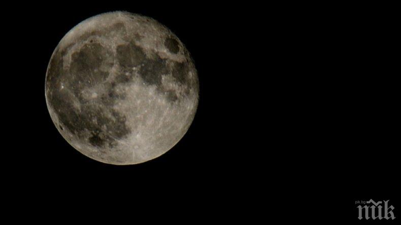ЗВЕЗДИТЕ ГОВОРЯТ: Почивайте активно, всяко излишно движение може да ви изнерви