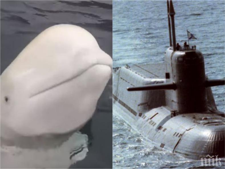 Русия извади невероятно оръжие! Норвегия настръхна от находка край арктически остров (ВИДЕО)