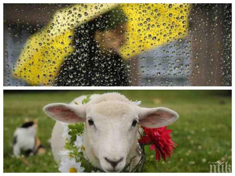 ПРОМЕНЛИВО ВРЕМЕ ДО УИКЕНДА: Редуват се дъжд и слънце, но за Гергьовското пътуване температурите скачат до 27 градуса