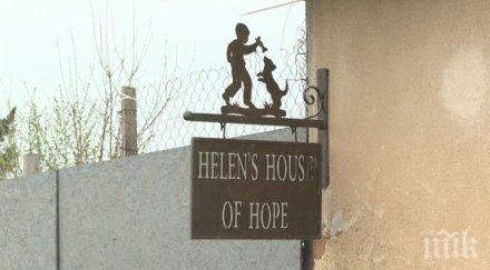 организации скочиха защита англичанката отглеждаща кучета дома