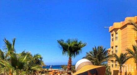 мис българия габриела василева разкри голямата мечта