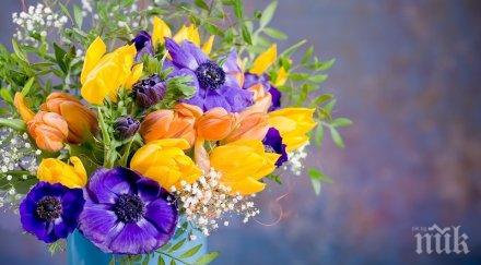 загубите обонянието случи нещо ужасно