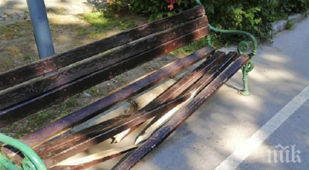 хулигани чупят пейки наред пловдив