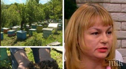 шеф бабх коментар масово отравяне пчелите нас