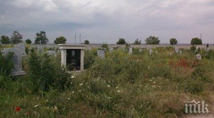 вандали оскверниха гробищен парк видин