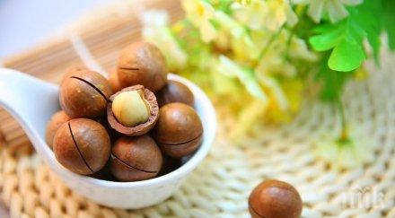 маслодайни ядки забавят стареенето тялото