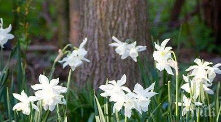 звездите говорят предприемайте нищо ново важно