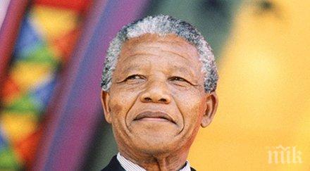 картина нелсън мандела продадена 100 000 долара йорк снимка