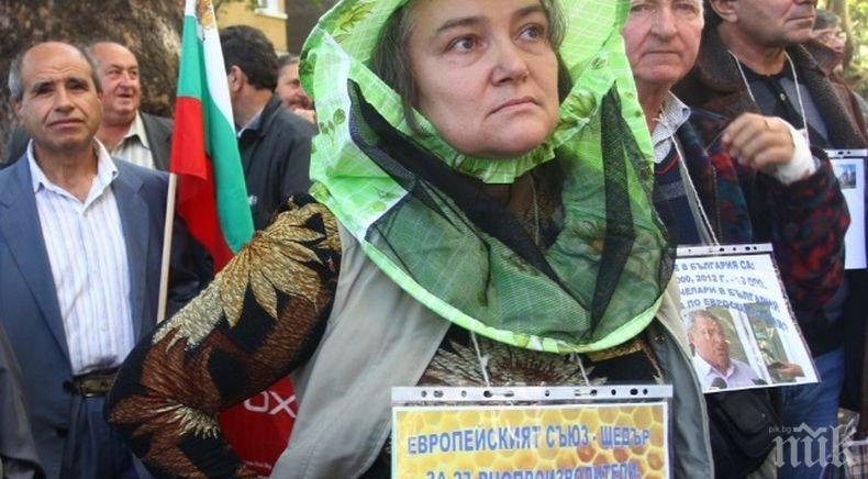След протеста на пчеларите: Свикват консултативен съвет в земеделското министерство