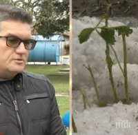 СЛЕД УБИЙСТВЕНАТА ГРАДУШКА: Кой ще обезщети засегнатите