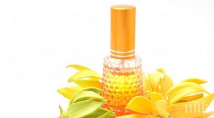 етерични масла стрес