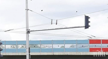 полицай сигма разби мотор снимки