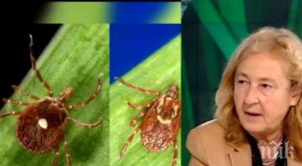 пазете всеки пети кърлеж носи лаймска болест