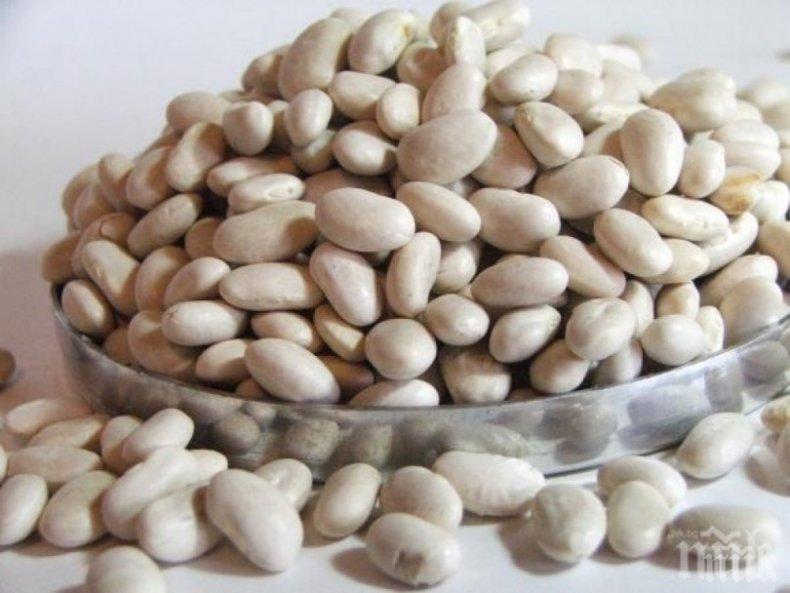 ЧУДО ОТ ПРИРОДАТА: Спрете диабета с боб