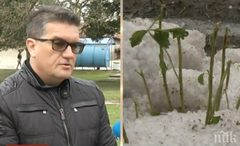 СЛЕД УБИЙСТВЕНАТА ГРАДУШКА: Кой ще обезщети засегнатите