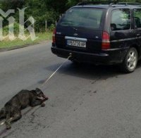 Полицай наказан с 