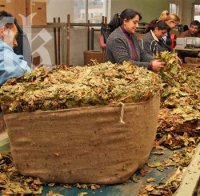 Тютюнопроизводителите блокират границата