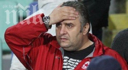 дучето скочи шеф цска палав котарак получил амнезия