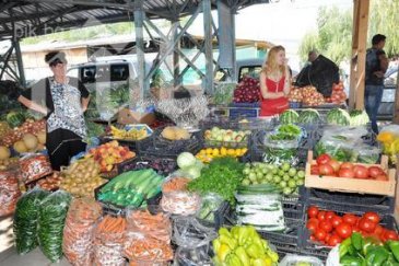 нап агенция митници удариха борсата слатина