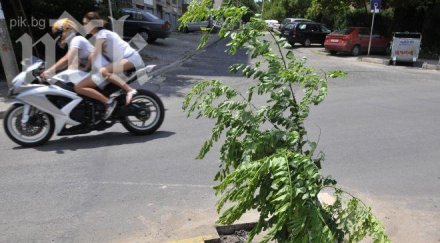 клон бележи опасна дупка хасковска улица снимки