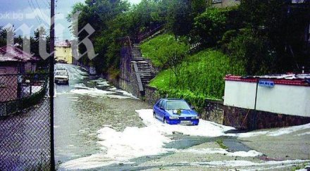 дъждовете унищожиха сто кайсиите силистренско