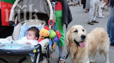 сливен обявиха против гладните стачки