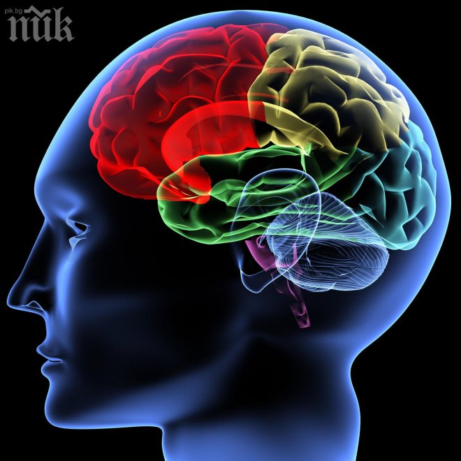 Как да забавим остаряването на мозъка си