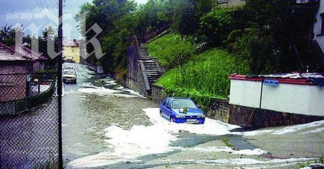 Дъждовете унищожиха 40 на сто от кайсиите в Силистренско