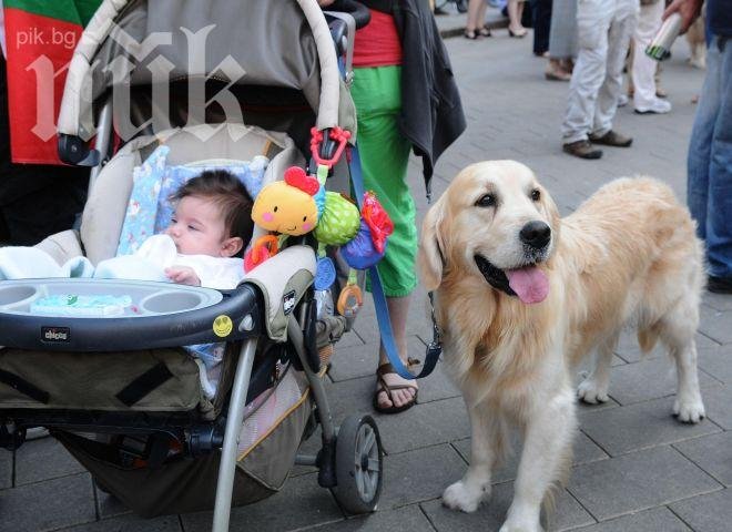 В Сливен се обявиха против гладните стачки