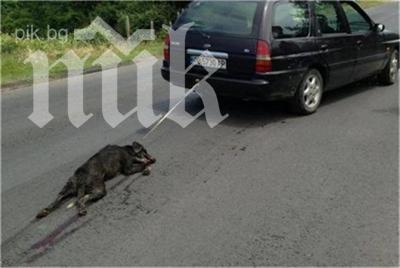 Внесоха обвинителния акт срещу изверга, влачил кучето си с кола