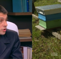 Българският мед негоден за пазара заради примеси от опасен пестицид
