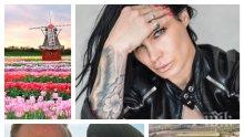 МЕНДЕЛСОН: Милионерът Майкъл Струмейтис поръча 2 тира с цветя от Холандия за сватбата си с Цеци Красимирова