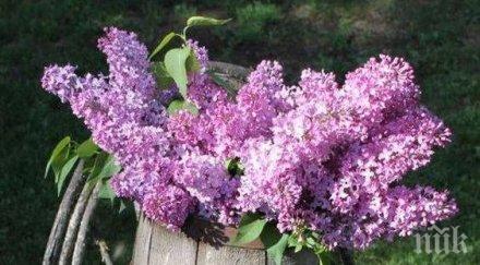 звездите говорят решават финансови проблеми отношенията бъдат бурни