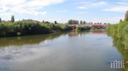 екобомба свински крачета гният брега марица снимка